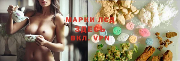 гидра Мегион
