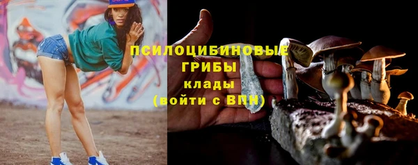 таблы Михайловск