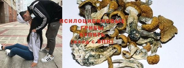 спайс Бердск