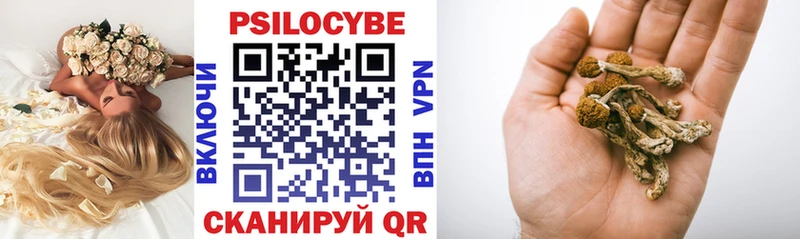 Псилоцибиновые грибы GOLDEN TEACHER  Среднеколымск 
